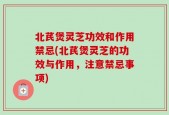 北芪煲灵芝功效和作用禁忌(北芪煲灵芝的功效与作用，注意禁忌事项)
