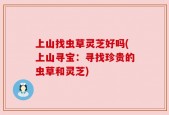 上山找虫草灵芝好吗(上山寻宝：寻找珍贵的虫草和灵芝)