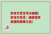 野生竹灵芝可以破壁(野生竹灵芝：破壁营养超强的健康之选)