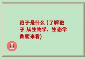 孢子是什么 (了解孢子 从生物学、生态学角度来看)