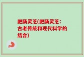 肥肠灵芝(肥肠灵芝：古老传统和现代科学的结合)