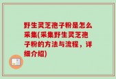 野生灵芝孢子粉是怎么采集(采集野生灵芝孢子粉的方法与流程，详细介绍)