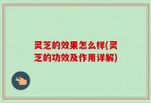 灵芝的效果怎么样(灵芝的功效及作用详解)