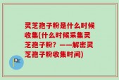 灵芝孢子粉是什么时候收集(什么时候采集灵芝孢子粉？——解密灵芝孢子粉收集时间)