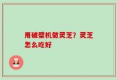 用破壁机做灵芝？灵芝怎么吃好