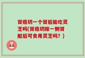 肾癌切一个肾后能吃灵芝吗(肾癌切除一侧肾脏后可食用灵芝吗？)