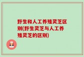 野生和人工养殖灵芝区别(野生灵芝与人工养殖灵芝的区别)