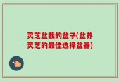 灵芝盆栽的盆子(盆养灵芝的最佳选择盆器)