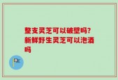 整支灵芝可以破壁吗？新鲜野生灵芝可以泡酒吗