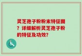 灵芝孢子粉粉末特征图？详细解析灵芝孢子粉的特征及功效？