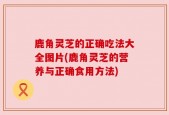 鹿角灵芝的正确吃法大全图片(鹿角灵芝的营养与正确食用方法)