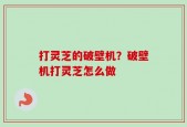 打灵芝的破壁机？破壁机打灵芝怎么做