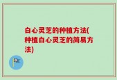 白心灵芝的种植方法(种植白心灵芝的简易方法)