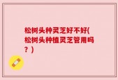松树头种灵芝好不好(松树头种植灵芝管用吗？)