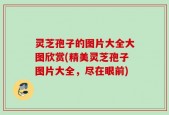 灵芝孢子的图片大全大图欣赏(精美灵芝孢子图片大全，尽在眼前)