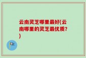云南灵芝哪里最好(云南哪里的灵芝最优质？)