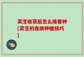 灵芝收获后怎么接着种(灵芝的连续种植技巧)
