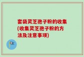 套袋灵芝孢子粉的收集(收集灵芝孢子粉的方法及注意事项)