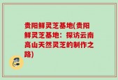 贵阳鲜灵芝基地(贵阳鲜灵芝基地：探访云南高山天然灵芝的制作之路)