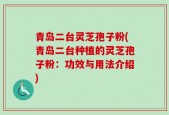 青岛二台灵芝孢子粉(青岛二台种植的灵芝孢子粉：功效与用法介绍)