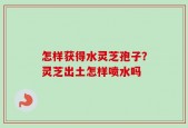 怎样获得水灵芝孢子？灵芝出土怎样喷水吗