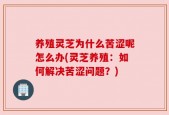 养殖灵芝为什么苦涩呢怎么办(灵芝养殖：如何解决苦涩问题？)