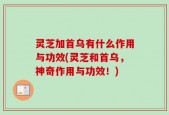灵芝加首乌有什么作用与功效(灵芝和首乌，神奇作用与功效！)