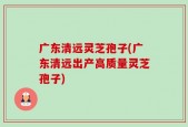 广东清远灵芝孢子(广东清远出产高质量灵芝孢子)