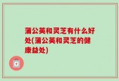 蒲公英和灵芝有什么好处(蒲公英和灵芝的健康益处)