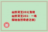 山野灵芝281(发现山野灵芝281：一场探秘自然奇迹之旅)