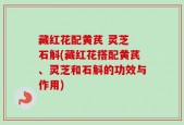 藏红花配黄芪 灵芝 石斛(藏红花搭配黄芪、灵芝和石斛的功效与作用)