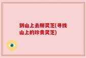 到山上去掰灵芝(寻找山上的珍贵灵芝)