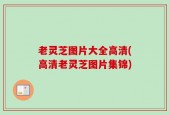 老灵芝图片大全高清(高清老灵芝图片集锦)