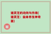 猪灵芝的功效与作用(猪灵芝：益身养生神奇菌)