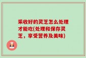 采收好的灵芝怎么处理才能吃(处理和保存灵芝，享受营养及美味)