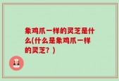 象鸡爪一样的灵芝是什么(什么是象鸡爪一样的灵芝？)