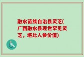 融水苗族自治县灵芝(广西融水县现世罕见灵芝，堪比人参价值)