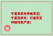 宁夏灵武市种植灵芝(宁夏灵武市：打造灵芝种植特色产业)