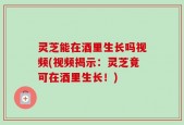 灵芝能在酒里生长吗视频(视频揭示：灵芝竟可在酒里生长！)