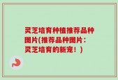 灵芝培育种植推荐品种图片(推荐品种图片：灵芝培育的新宠！)