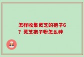 怎样收集灵芝的孢子6？灵芝孢子粉怎么种