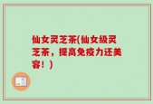 仙女灵芝茶(仙女级灵芝茶，提高免疫力还美容！)