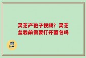 灵芝产孢子视频？灵芝盆栽前需要打开菌包吗