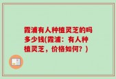霞浦有人种植灵芝的吗多少钱(霞浦：有人种植灵芝，价格如何？)