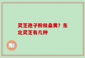 灵芝孢子粉和桑黄？东北灵芝有几种