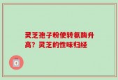 灵芝孢子粉使转氨酶升高？灵芝的性味归经
