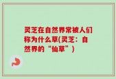 灵芝在自然界常被人们称为什么草(灵芝：自然界的“仙草”)