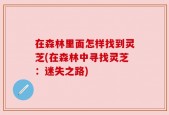 在森林里面怎样找到灵芝(在森林中寻找灵芝：迷失之路)