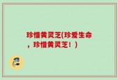 珍惜黄灵芝(珍爱生命，珍惜黄灵芝！)