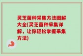 灵芝菌种采集方法图解大全(灵芝菌种采集详解，让你轻松掌握采集方法)